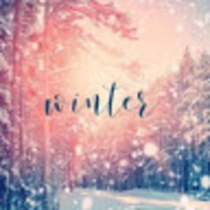 Meet your Posher, Bella